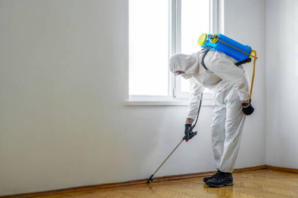 Best Residential Pest Control  in Cleburne, TX